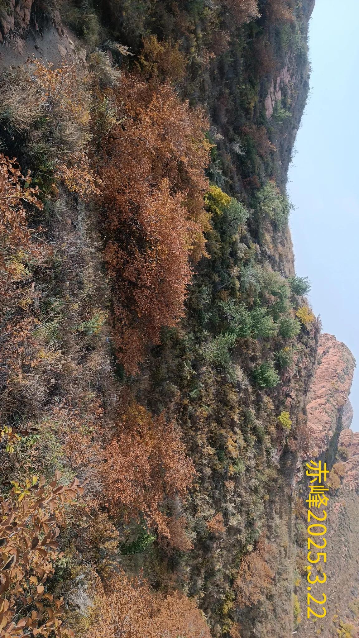 一路山色，随手拍一张风景照随手一拍，山色美景。