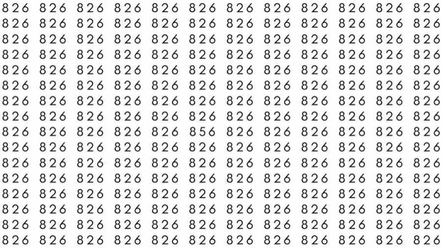 视错觉大脑测试：如果你有鹰眼，在39秒内从826中找出856？