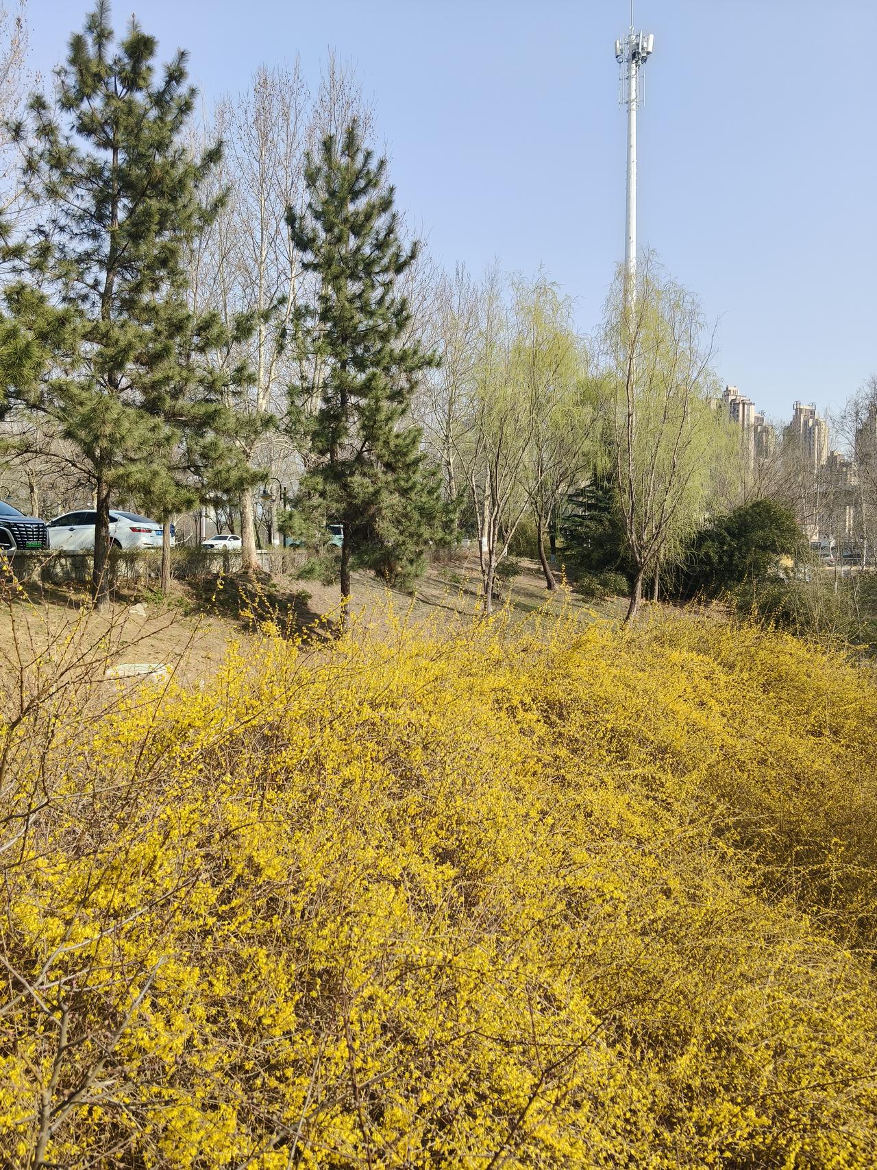 解狐荐仇解狐是晋国大夫，有一天赵简子问他，上党郡守出缺了，谁可以管理这个大