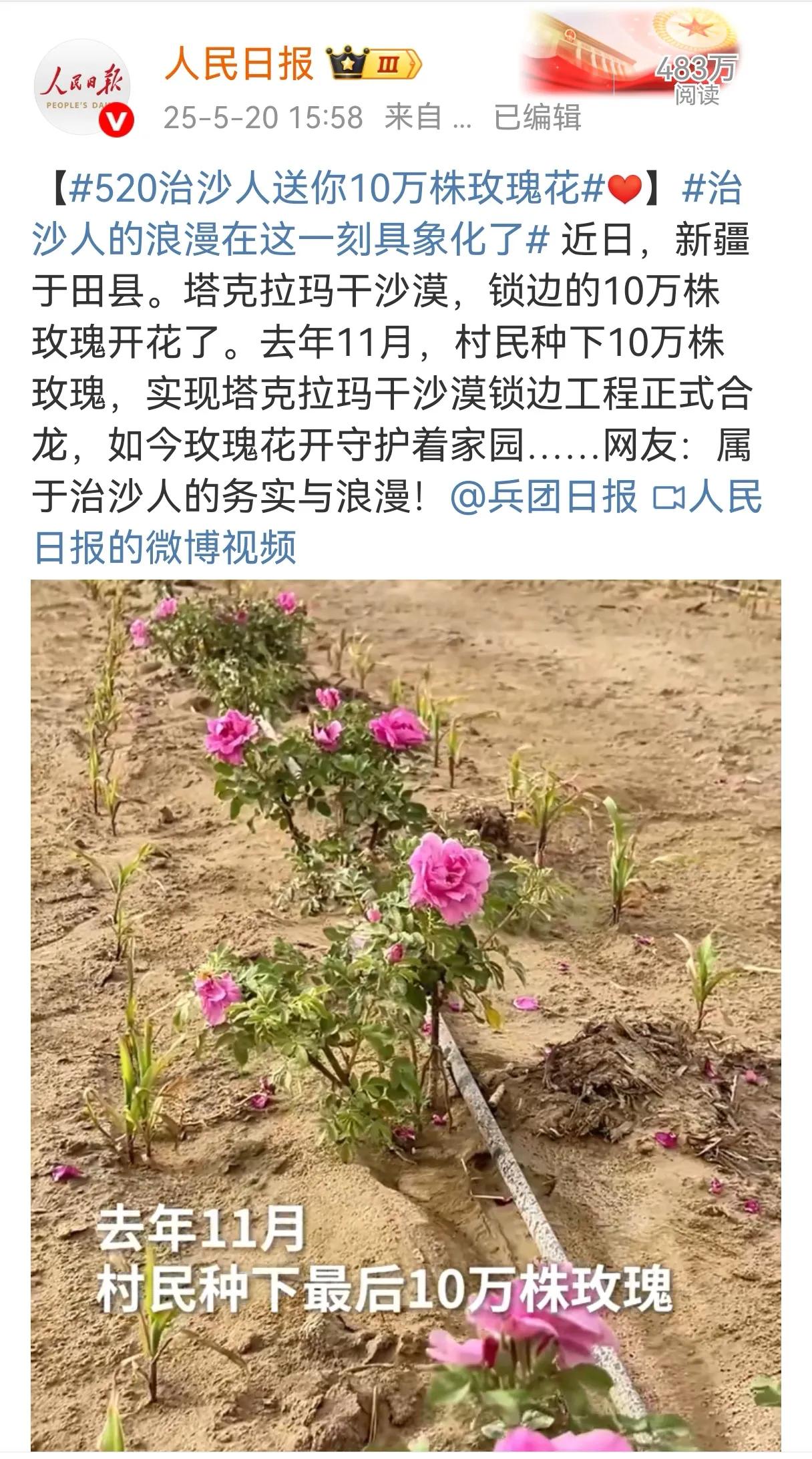 今天是爱人之间（甚至亲人之间）表达爱意的日子，就算你没有收到鲜花也没关系，那就送