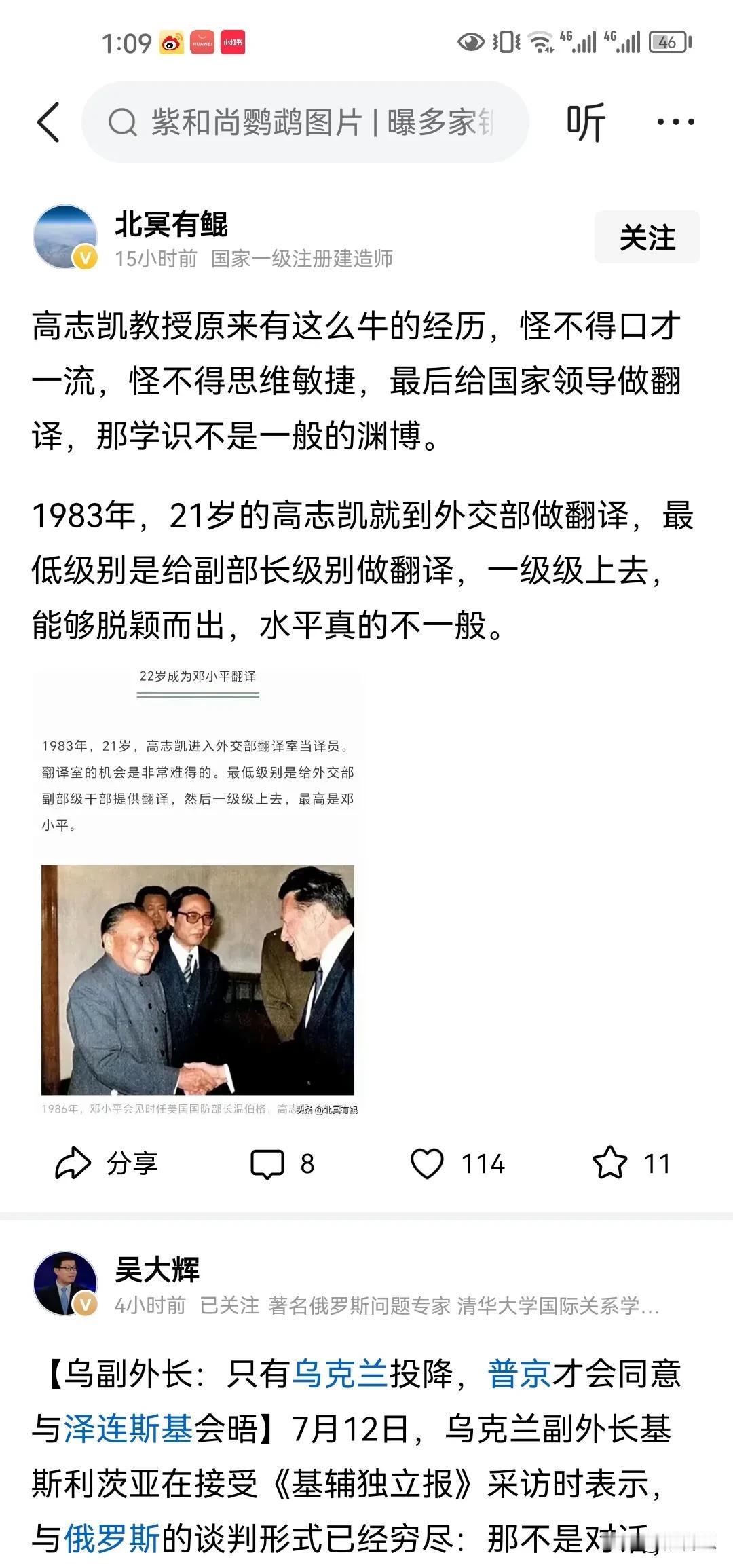高志凯可不是一般的智库研究院，他可是有实战经验的前外交人员，是从官方里见过大世面
