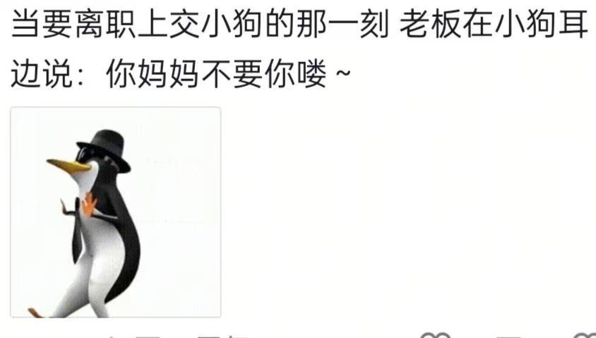 老板：真的不来上班吗狗狗一直在等你