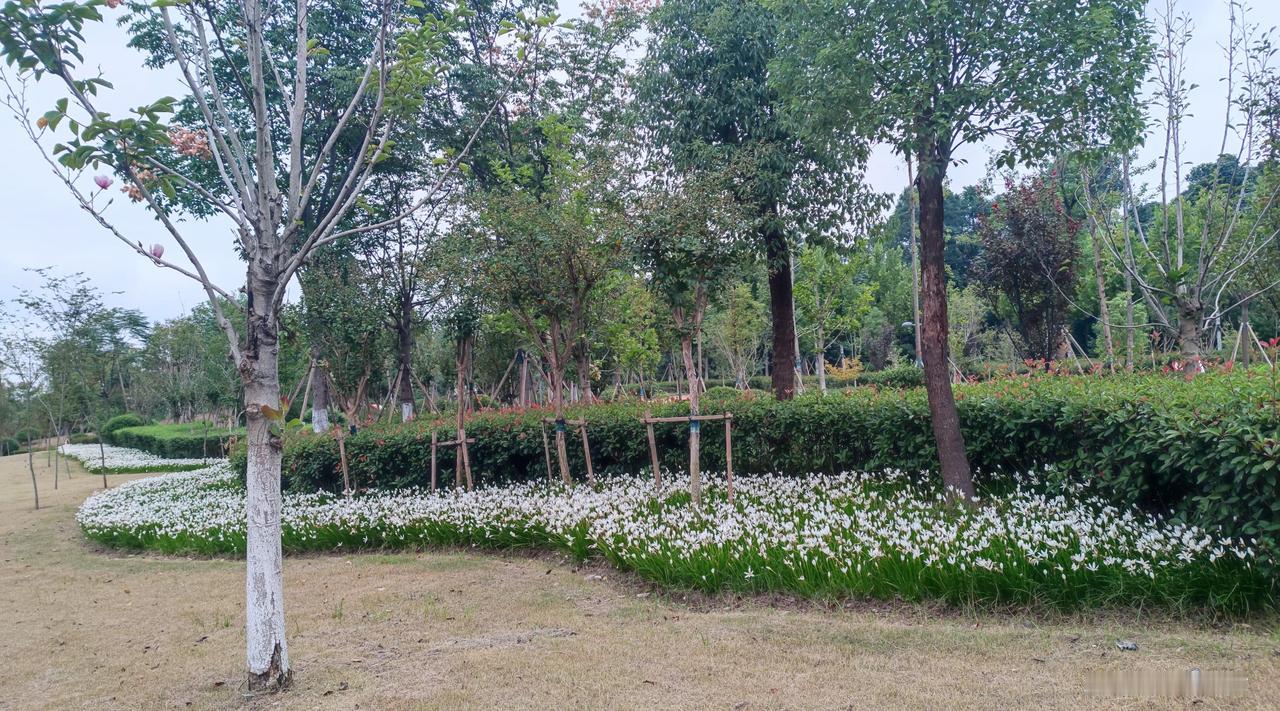 现在好多男生都说女生现实，女孩子现实是否为正常现象？-------------