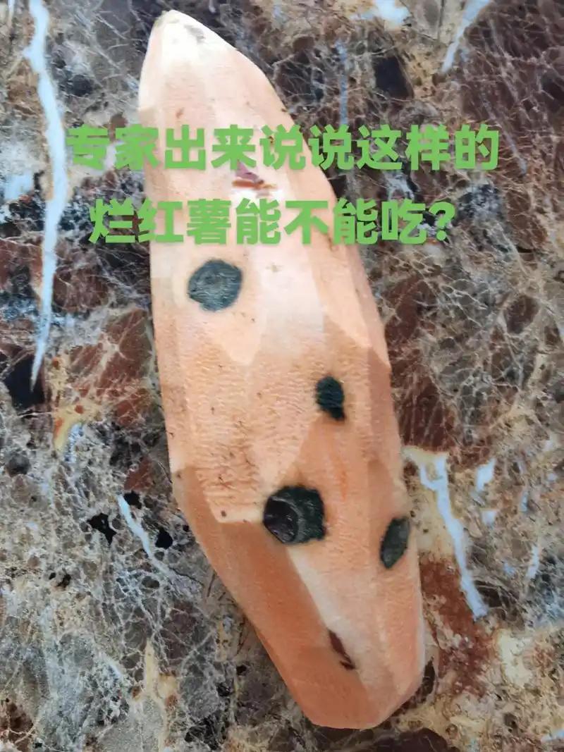 有些红薯不可食用红薯美味又营养，但有些红薯不宜食用。发霉、腐烂的