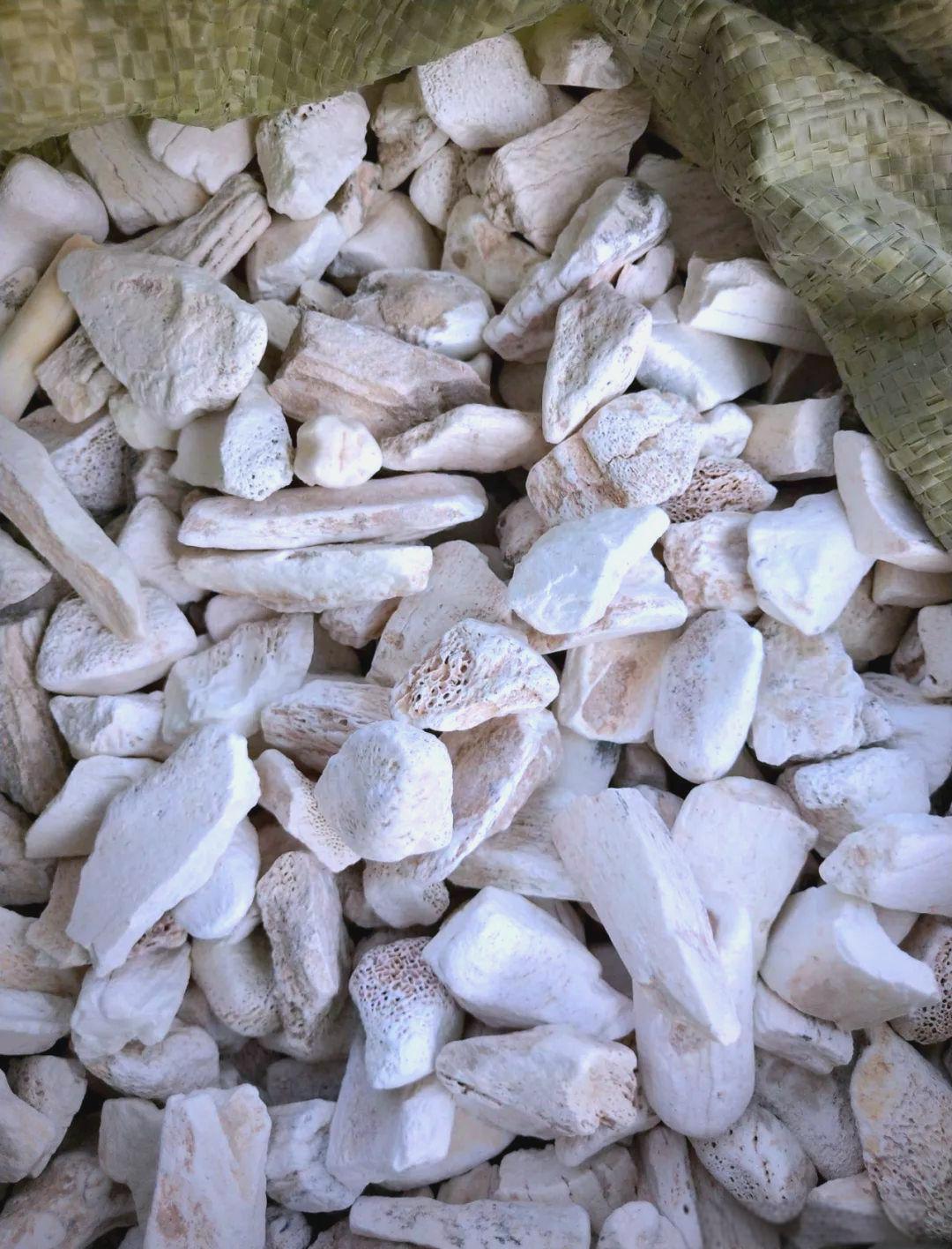 [点赞]龙骨是什么东西？中药里面，有一个中药叫做龙骨，这个龙骨不是龙的骨头，也