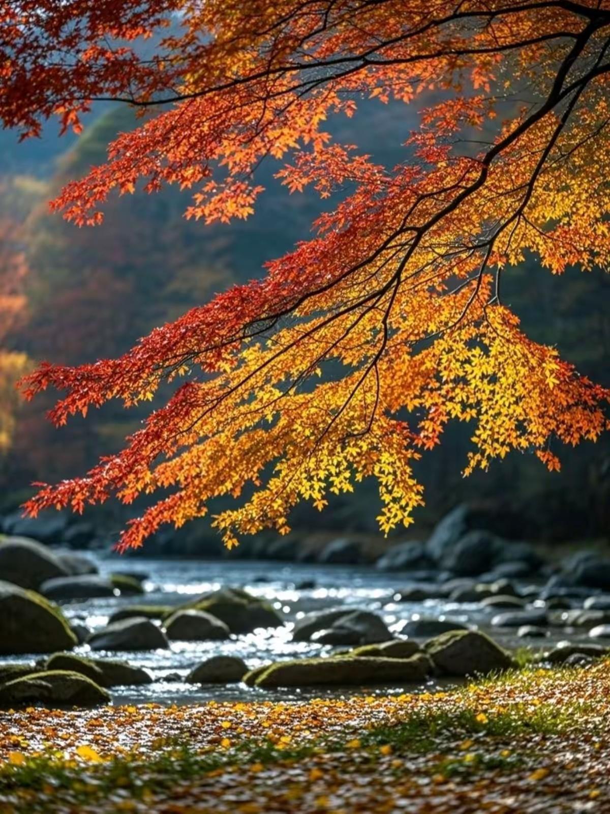 帮儿女办事，要牢记这5条“老规矩”，千万别帮错了，反而寒了心有句话说得好：