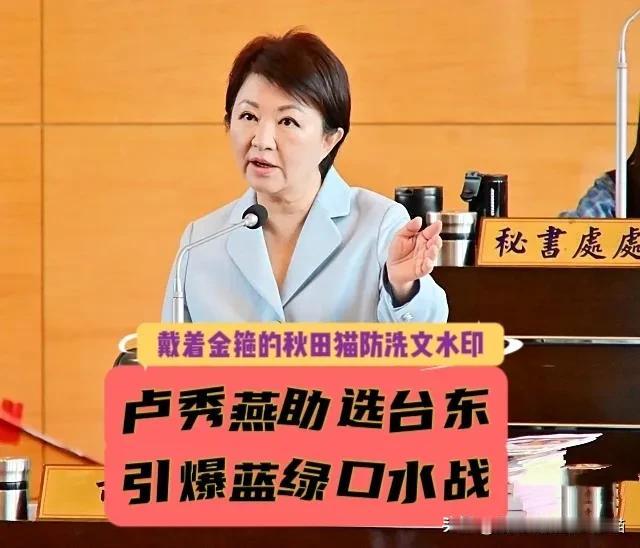 “陈莹留绿当局、台东给吴秀华！”卢秀燕助选话语引爆蓝绿口水战，陈莹火速回怼：台东