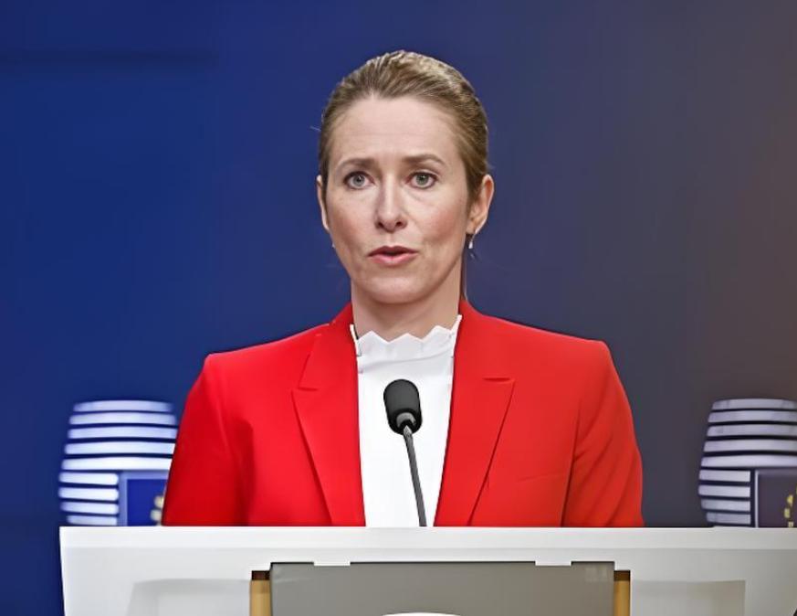 欧盟外长称“没有任何欧洲国家，能跟中国单挑”，现场众人的表情真有意思！数小