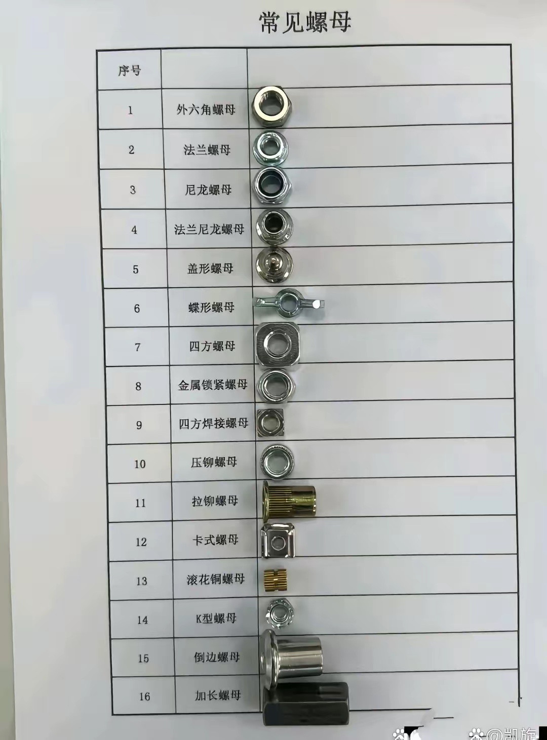 平时连名字都不知道的，这图真是长见识了​​​