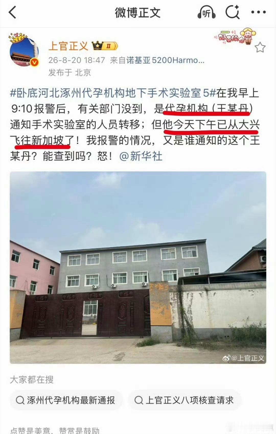 涿州代孕事件内鬼打拐志愿者卧底半年，曝光河北涿州一处自称“北方最大”的地下代孕