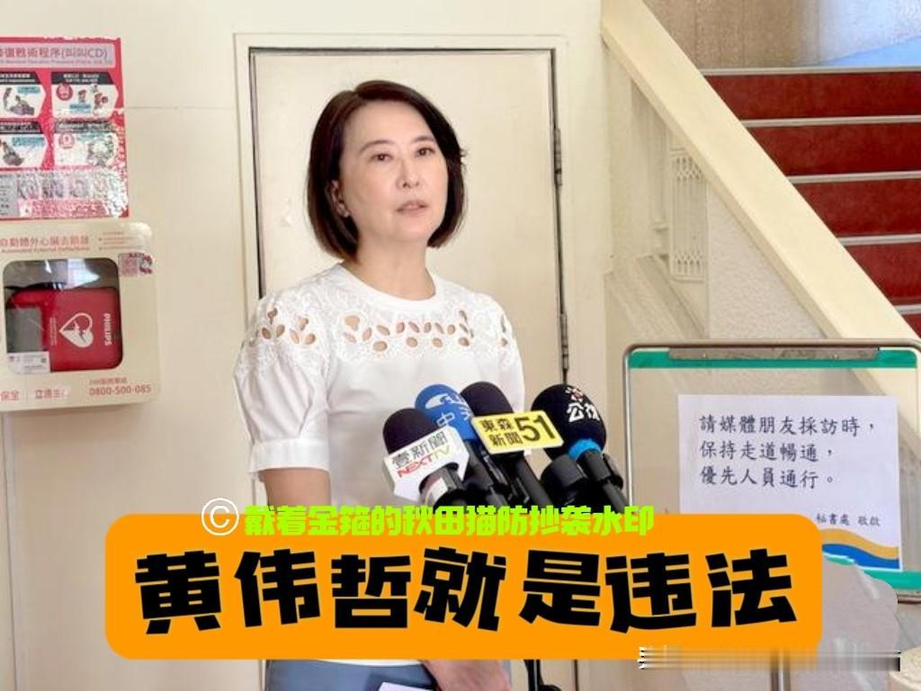 兄妹立场为何如此悬殊？黄智贤哥哥黄伟哲搞AI深伪攻击蒋万安却被告发，陈其迈不包
