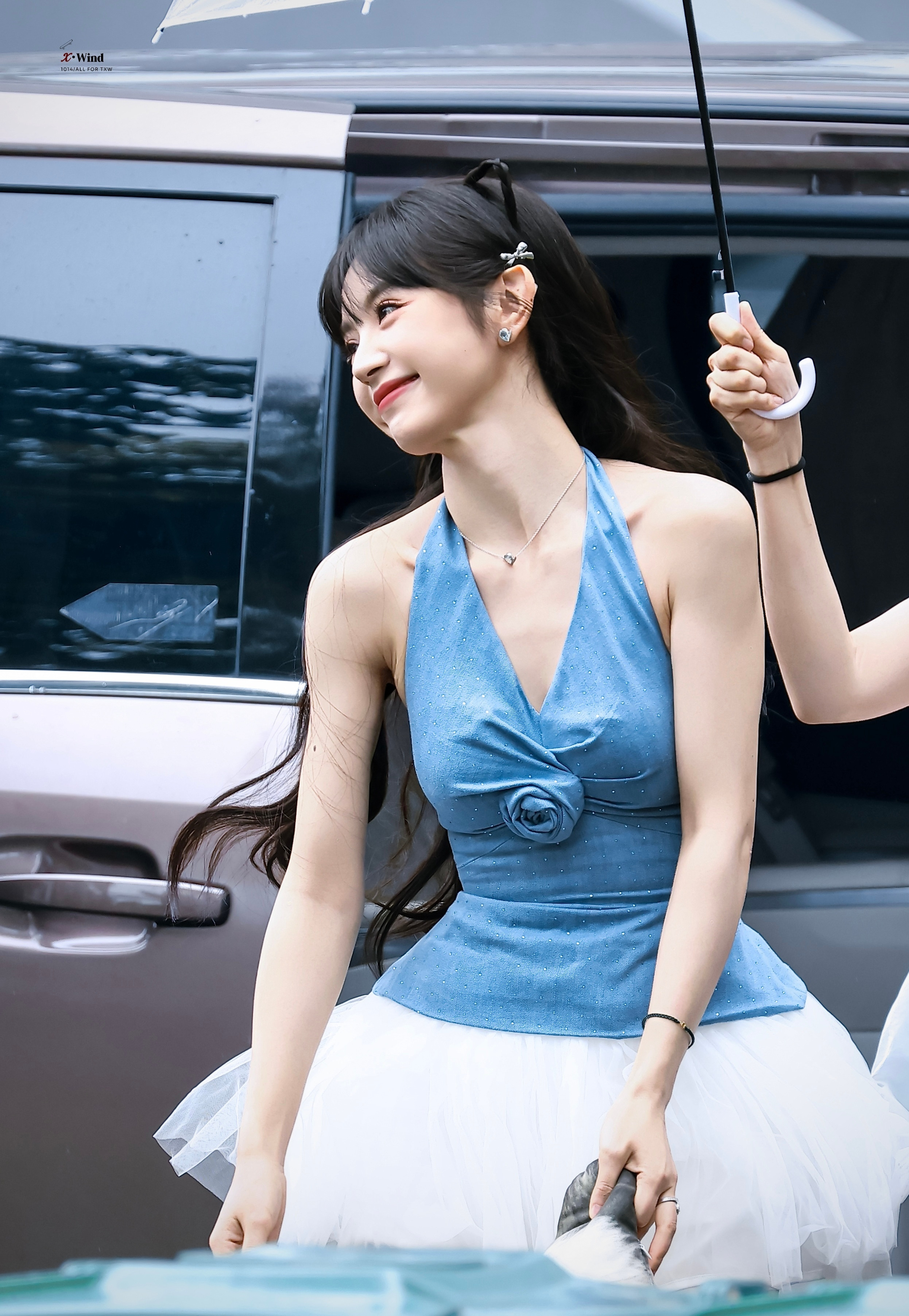 好明媚的芭蕾小猫​​​