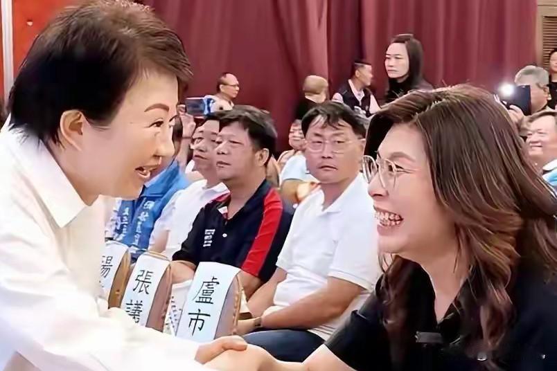 在野大联盟早有布局，卢秀燕只是后来跟上要说这在野大联盟，可不是卢秀燕最先提出
