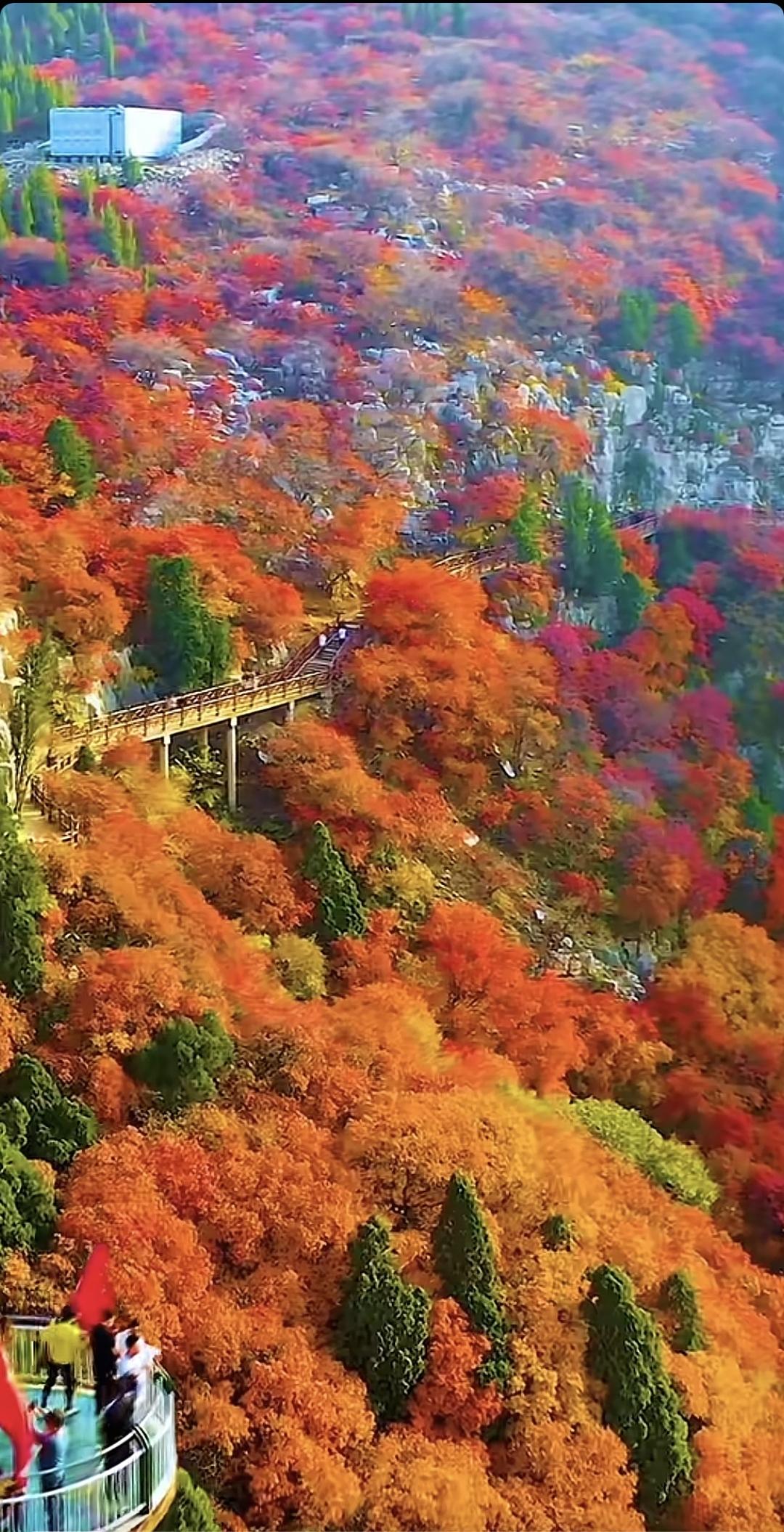 一幅幅晚秋美景令人感叹，给心情放个假，看这深秋美景，太美了！风景秋日生活打卡季