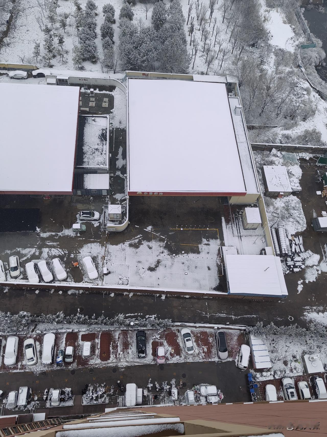 从2025年12月12日晚，潍坊又下大雪了。漫天的雪花飞舞，温度也下降到零度