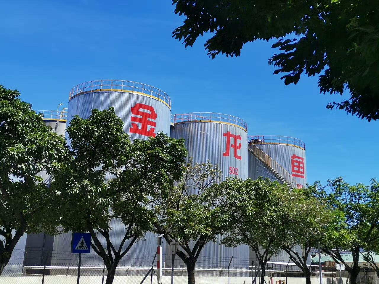 新加坡这波操作太作死！好牌彻底打废了！黄循财是忘了日军在新加坡屠了几万华人