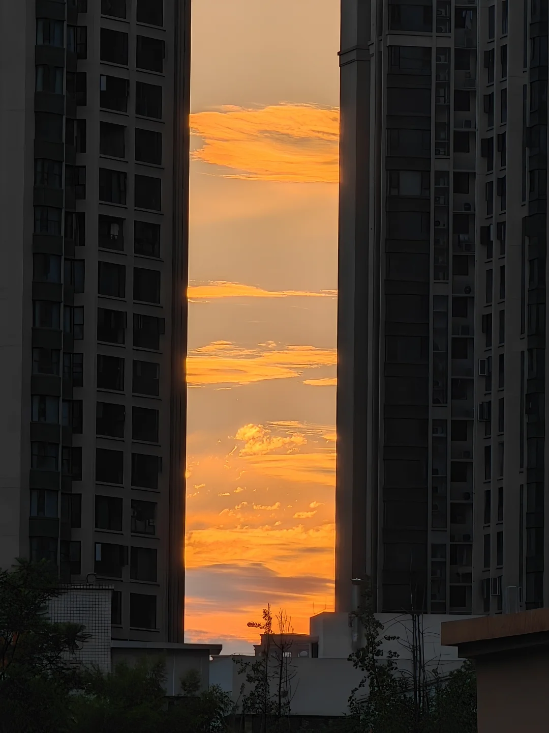 成都人此刻快抬头看，史诗级落日🌇晚霞