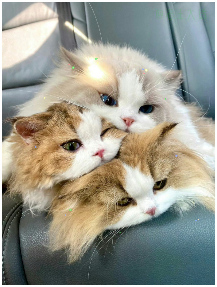 猫猫叠叠乐好可爱