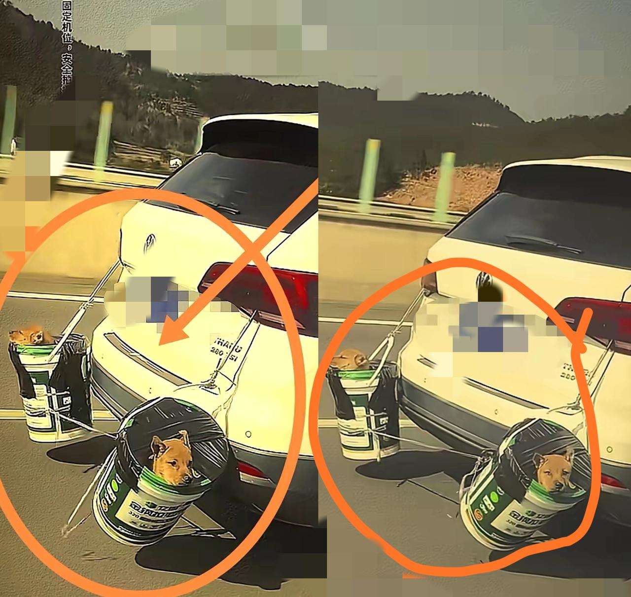 这张图火了！高速返乡的“移动狗窝”，戳中多少打工人的软肋高