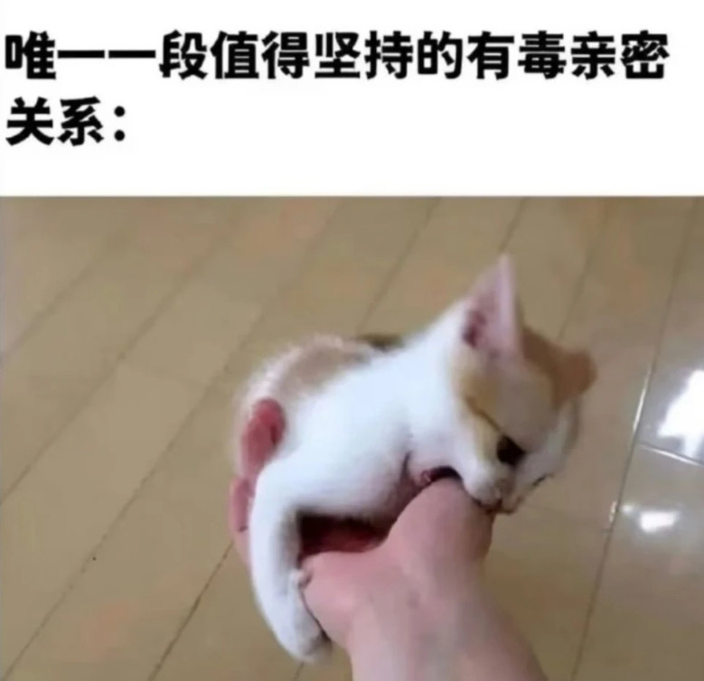 老大我们这样装疯卖傻真的能过关吗一波猫猫梗图世界破破烂烂猫猫缝缝补补