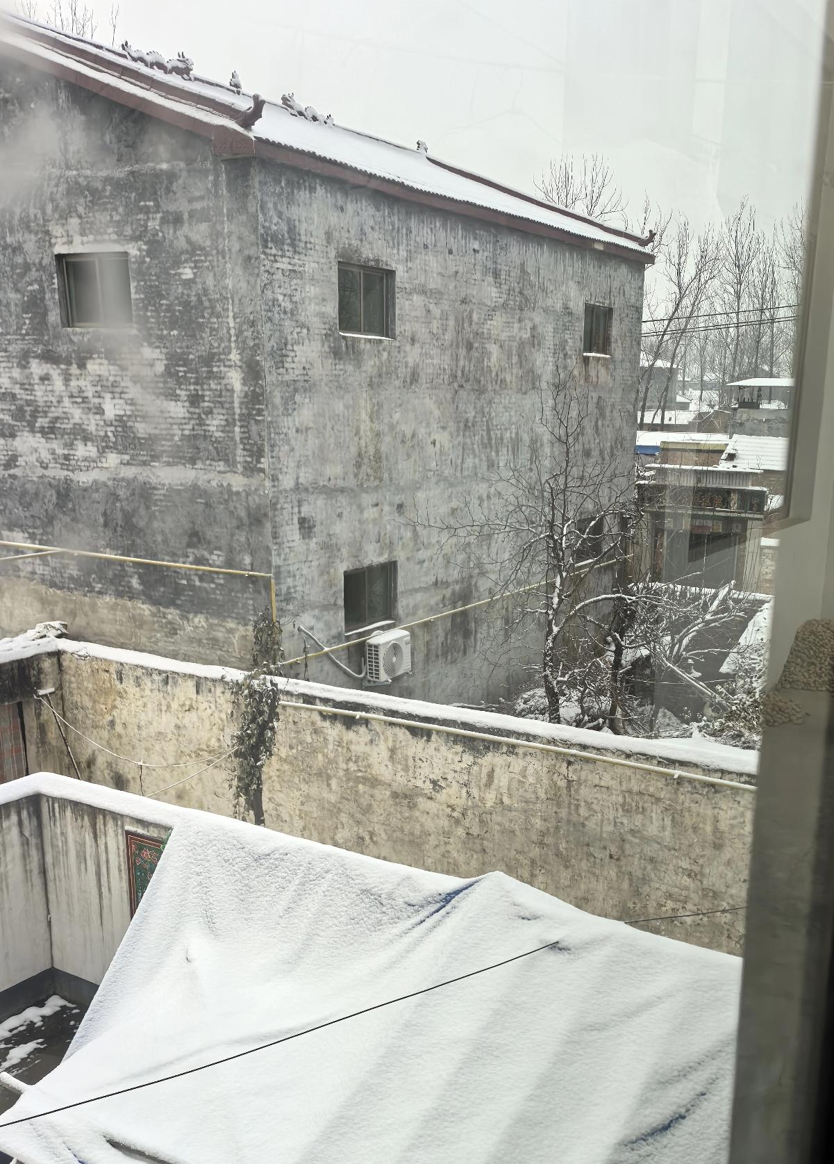 乡村雪景限定款：雪盖了棚子，也盖了老墙，唯独没盖我想出门玩雪的心[我想静静