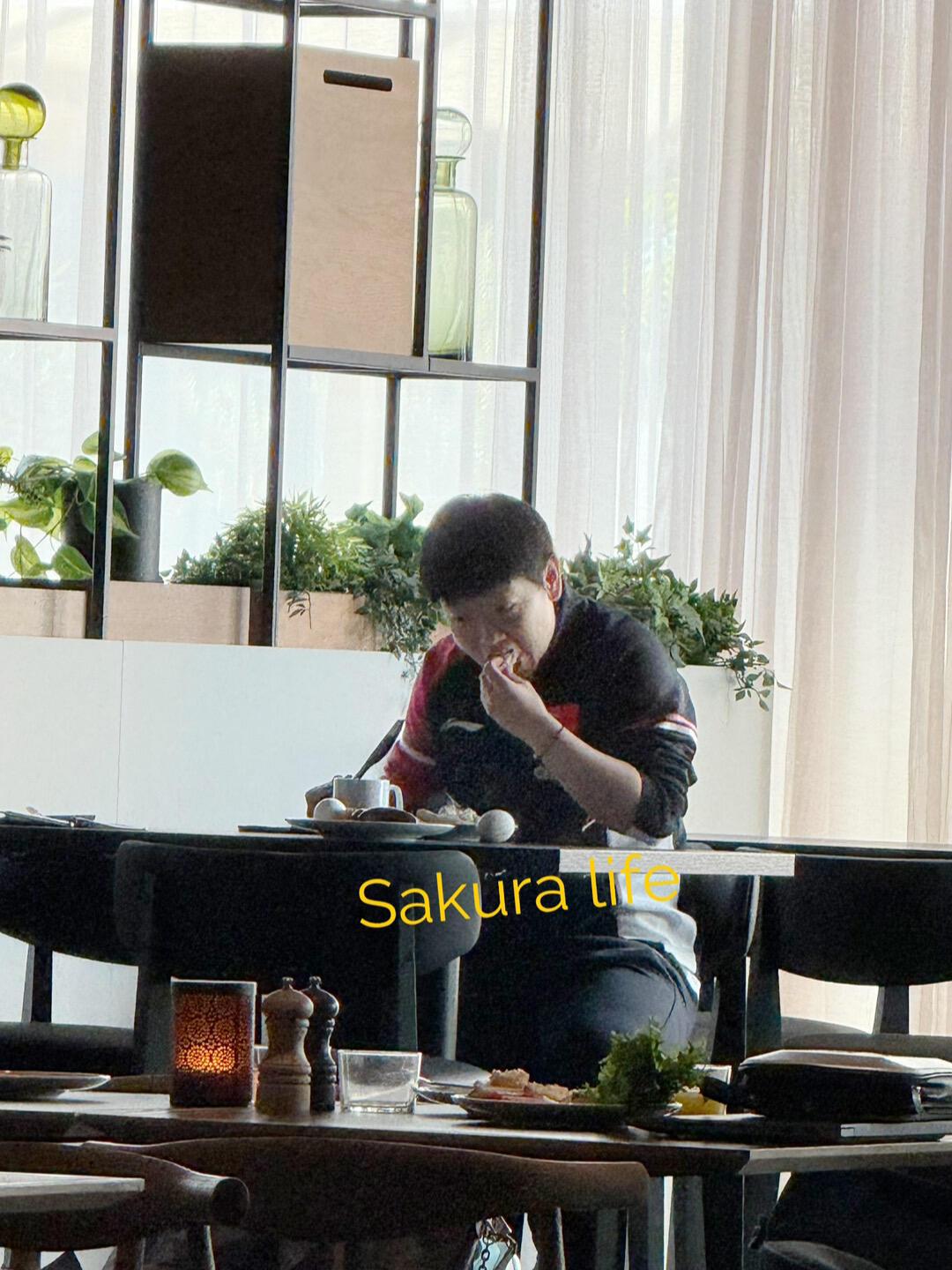 下训上训，莎莎小猫必须吃饱，享受美食！莎莎的食欲很好，很开心，岁月静好，开心的