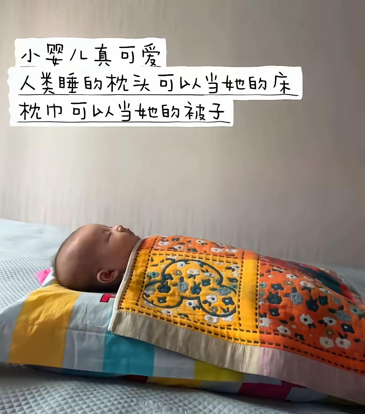 这也太可爱了吧！