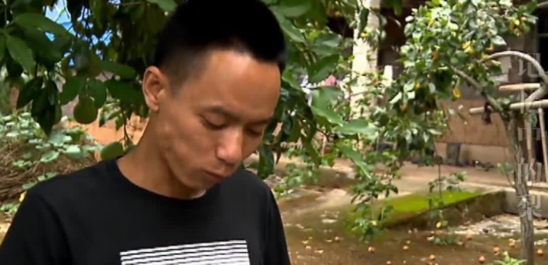 河北一男子多年来频繁梦到一棵梨树，树下有个女人向他招手，可看不清脸。男子苦寻27