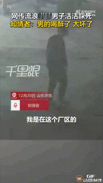 气无语了！山东济南一个厂区门口，突然有一只小猫死掉了，第二天工作人员发现后，还以