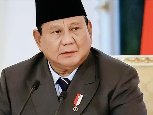 印尼这回一点不含糊，压根不跟美国牵头的这个“和平委员会”绕弯子，把底线亮得明明白