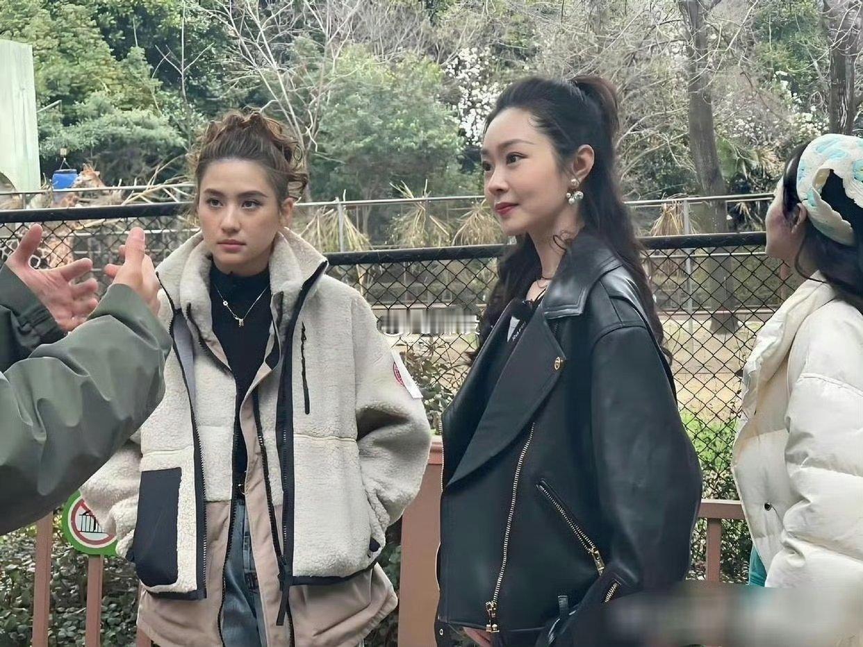 这大概就是豪门千金和明星的区别吧……