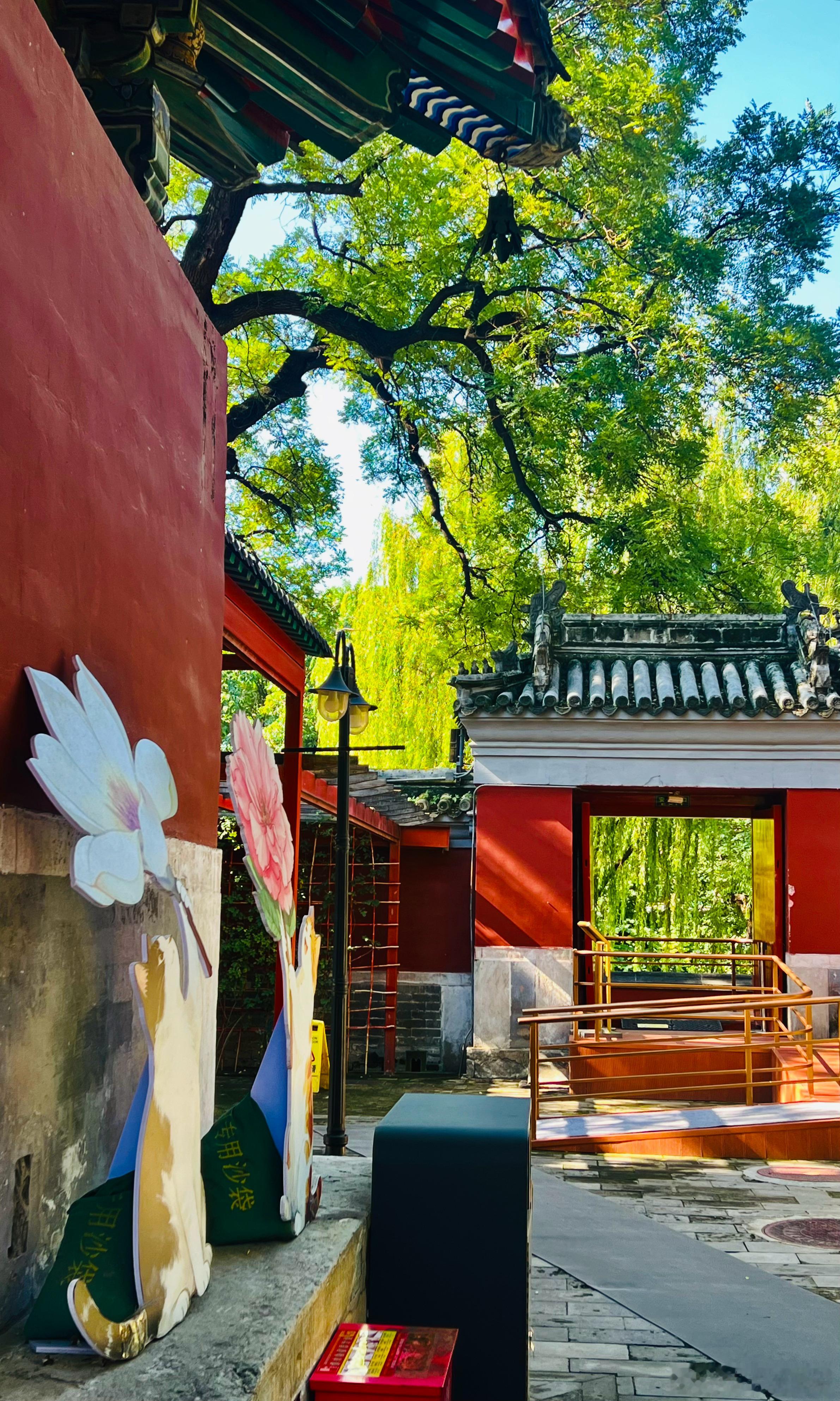 大美中国初秋的北京万寿寺秋色打卡美丽的中国超话