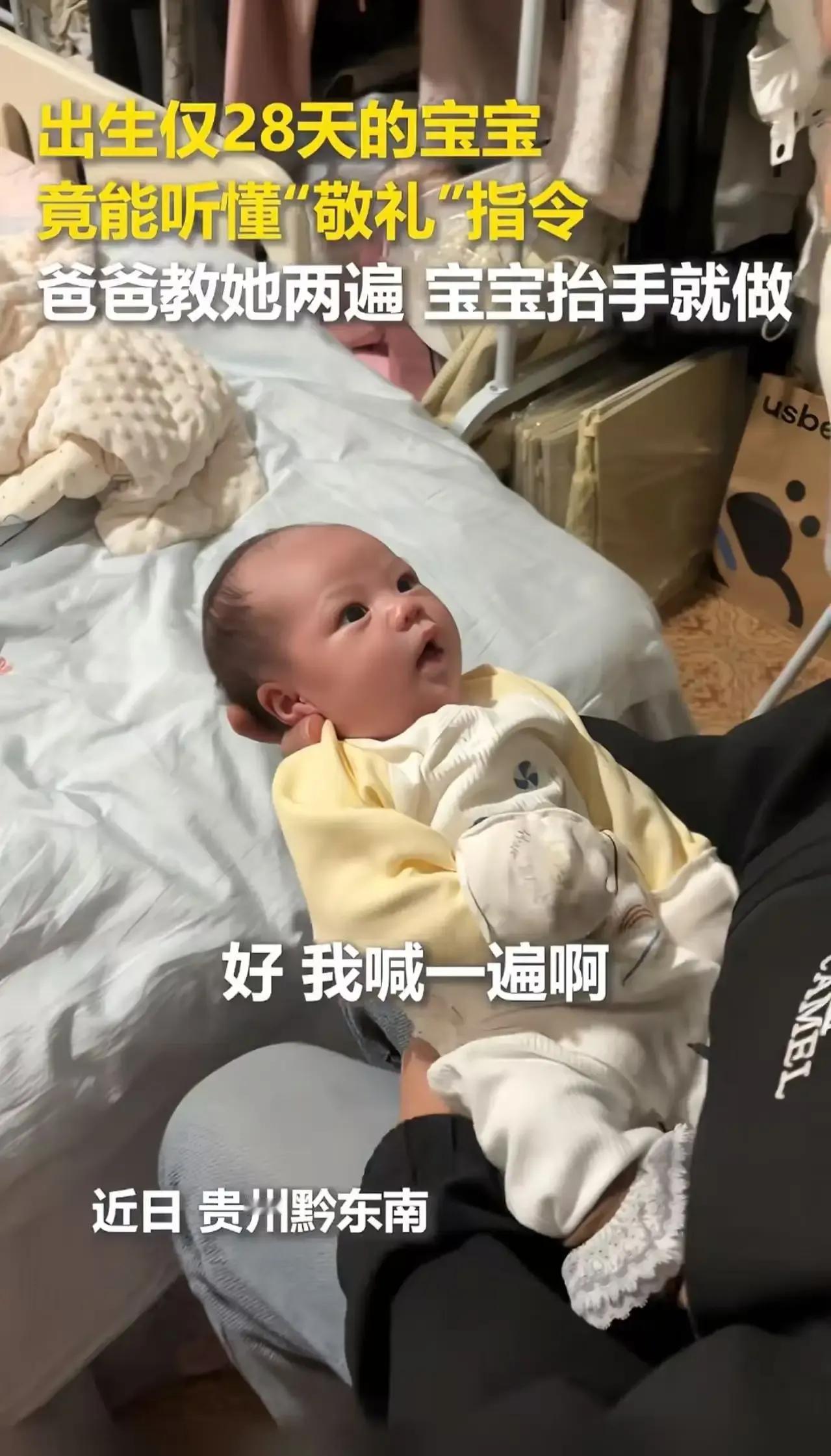 出生仅28天的宝宝就能听懂“敬礼”指令？这听起来是不是太不可思议了？连人民日报都