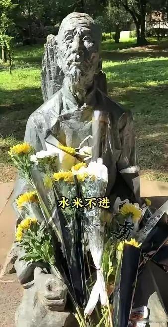 80多年前，1942年，一位88岁老人坐在一颗被雷击的古树下。7天7夜，不喝一口