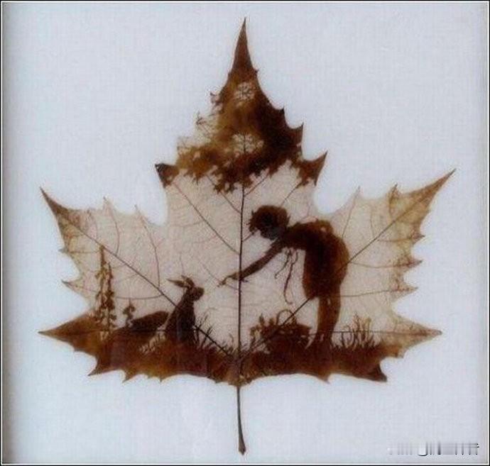 可以分享一张你相册里最美的秋景树叶照片吗?秋天到了，趁着树叶变黄掉落之际赶紧