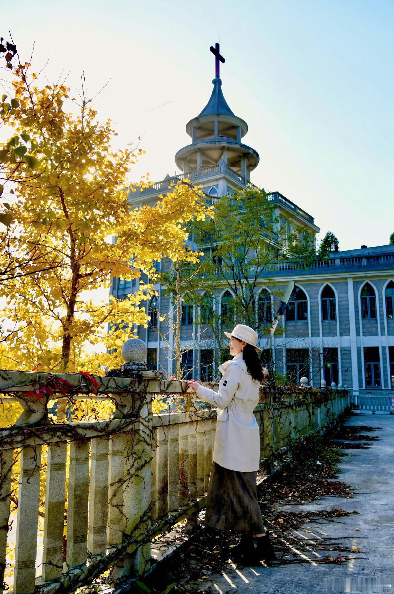 【随手拍鼓岭的冬天】满树金黄的银杏在阳光下格外灿烂，微风拂过，叶片徐徐飘落，