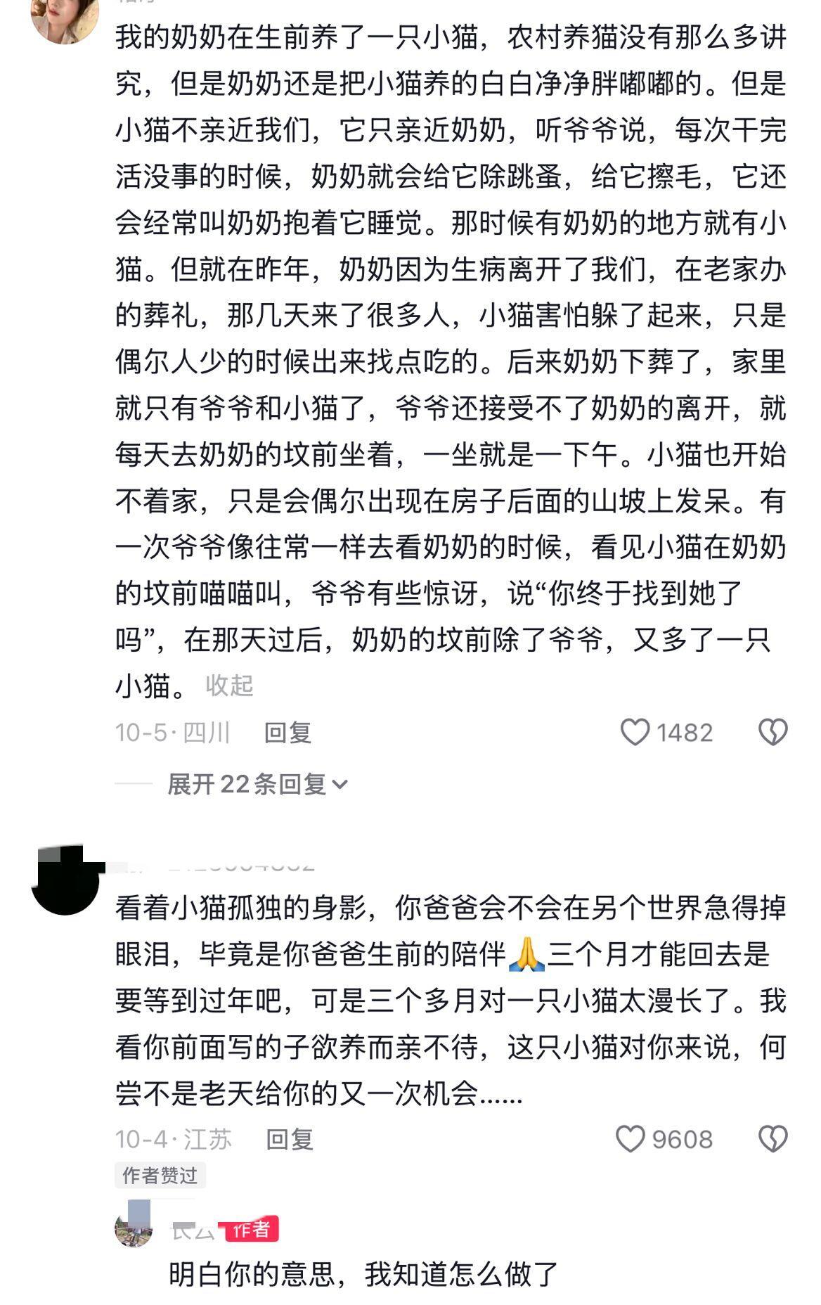 所以猫咪到底多久能忘掉主人