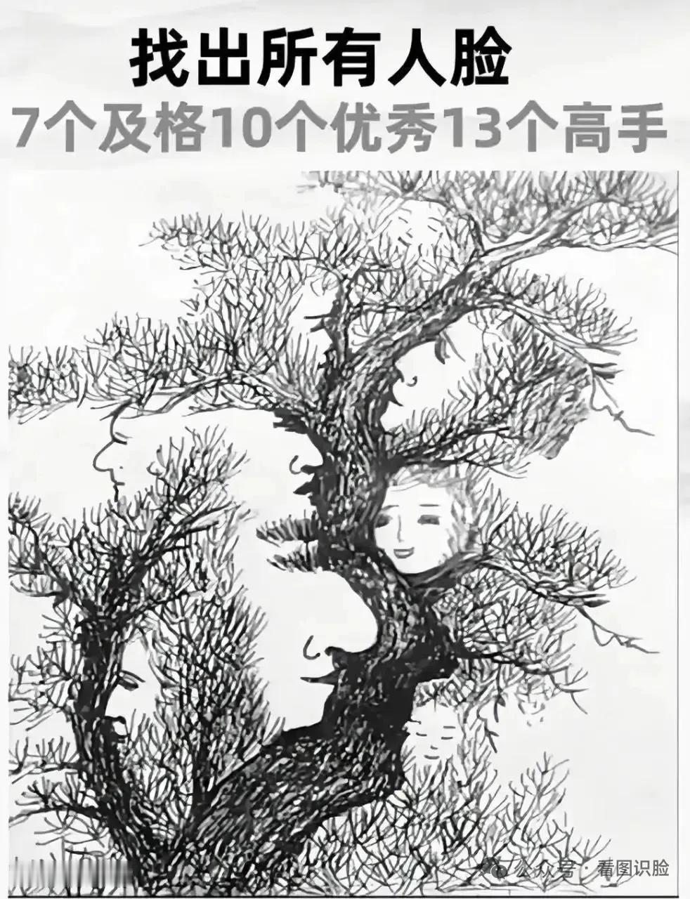 看图识脸？这颗老树上藏着好多人脸，能找到7张算及格，10张算优良，13张那可是