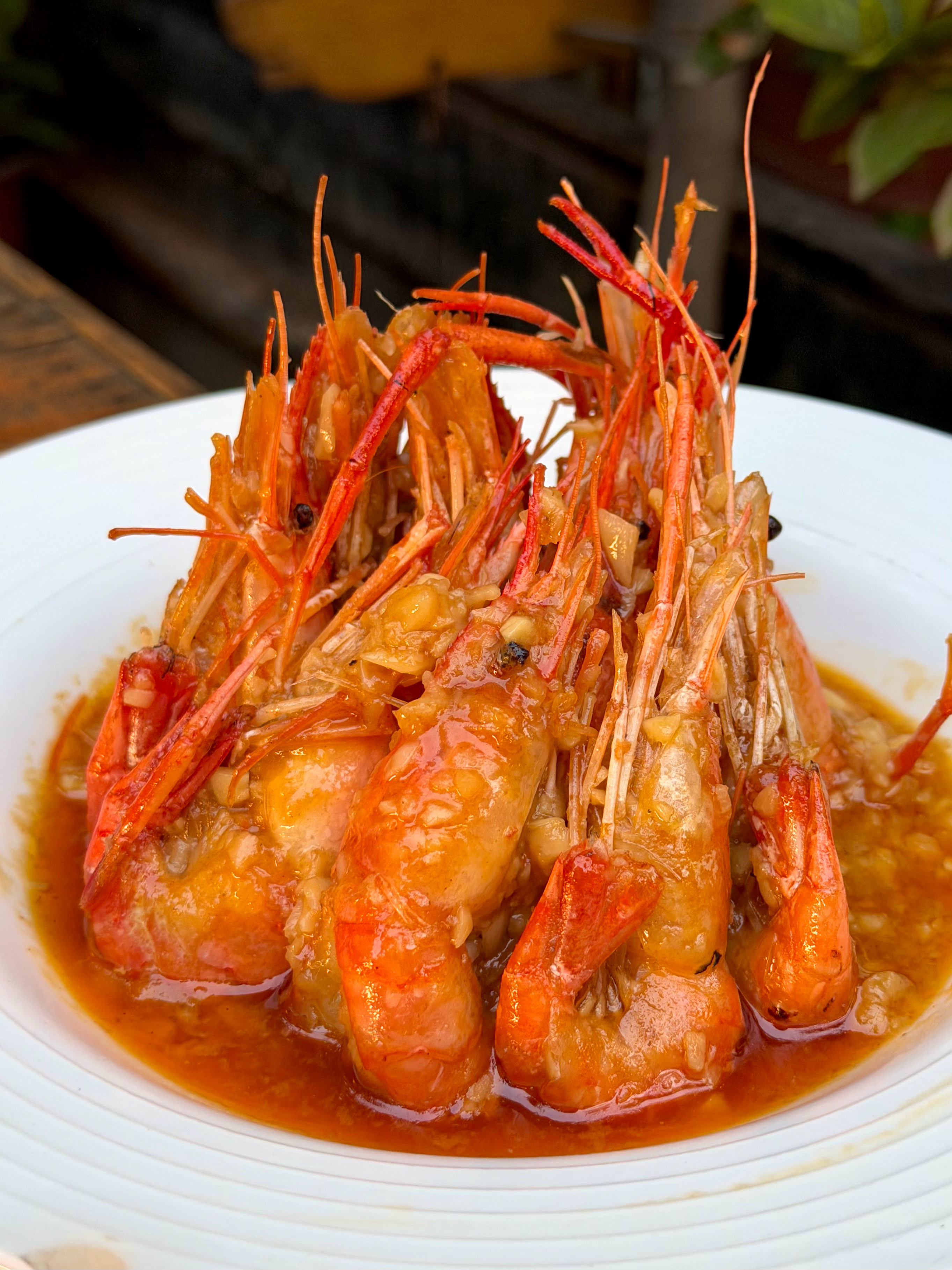 南京真正牛逼好吃的小破店！！藏在南京市中心的老街巷子里，开了10多年的宝藏苍蝇小