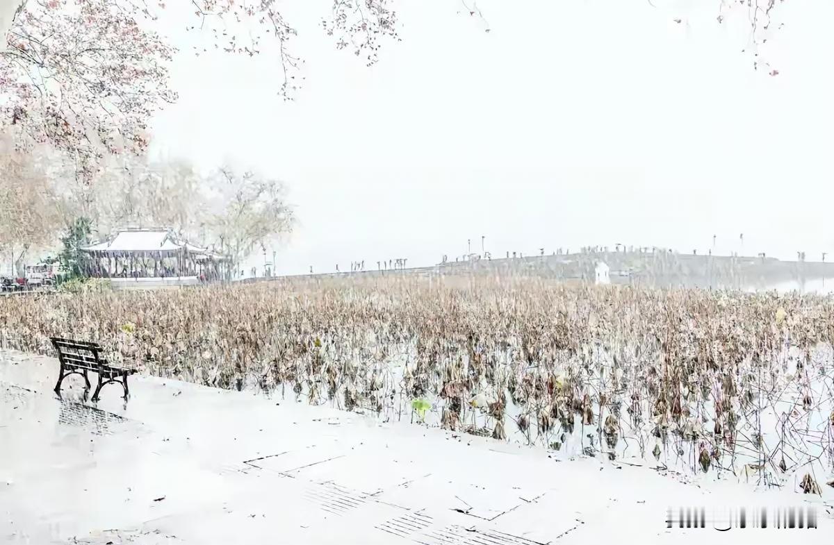 今天徐州下雪，我妈又提起76年的那场雪都没过小腿了，我爸穿的一条单裤子，我哥穿着