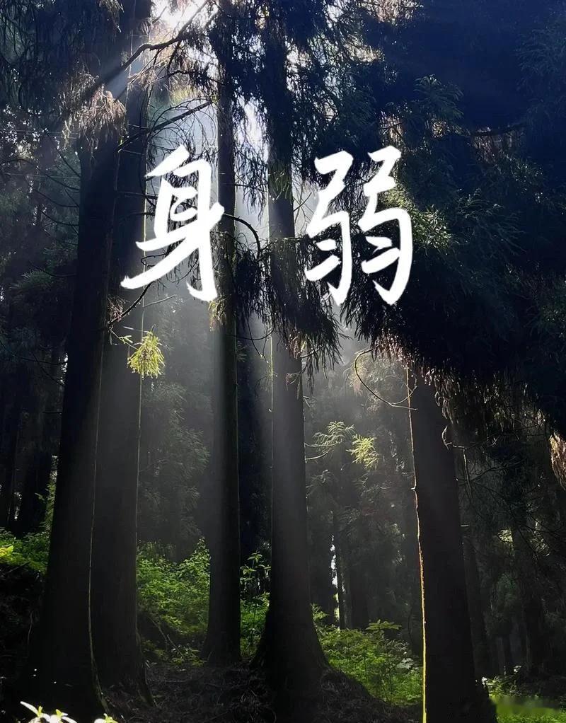 从命里来看，干大事的大多是伤官+七杀+偏印化杀。。创业难需要极强的智商执行