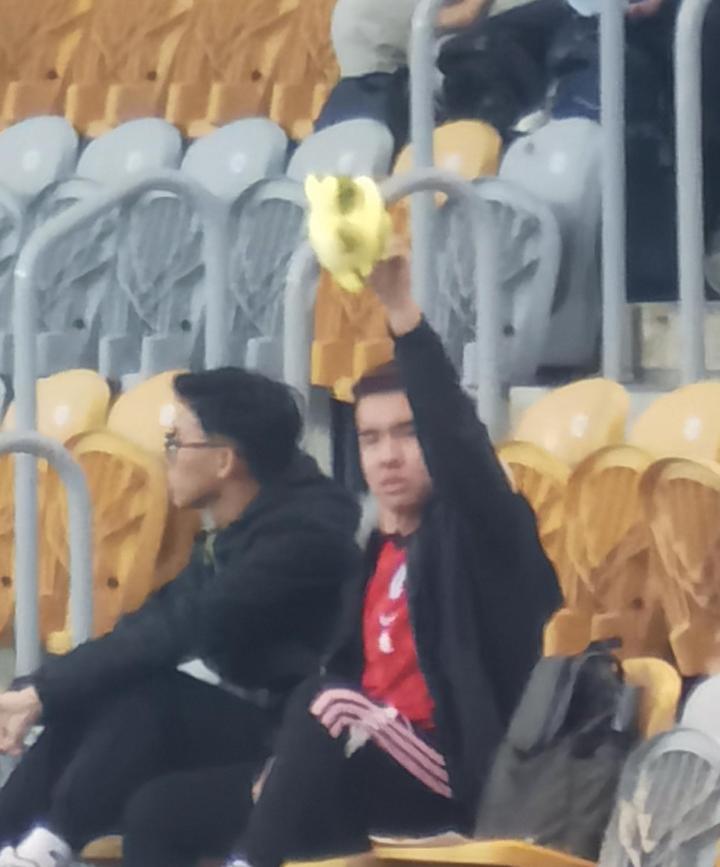 香港那边球迷没什么病吧,踢亚冠就踢亚冠,哪怕你骂骂客队也能理解。但你骂DLSB