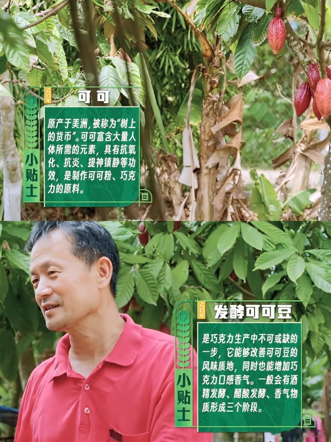 十个勤天他在叫他在笑救命！被十个勤天笑不活了！王一珩磨芫根粉直接把鹭卓吓得惊叫，