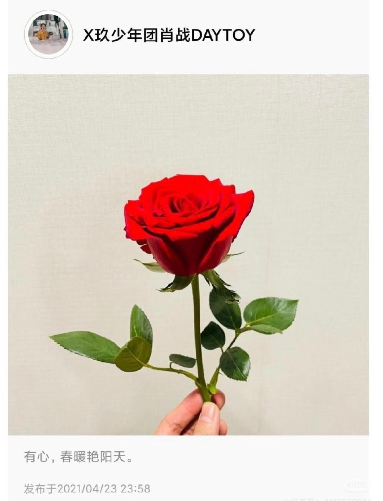 嘿嘿小两口的红玫瑰🌹