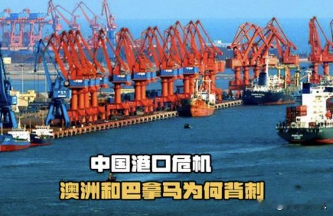 俄罗斯专家现在提出这样一个想法，现在澳大利亚跟巴拿马都要收回中国的港口，中国也可