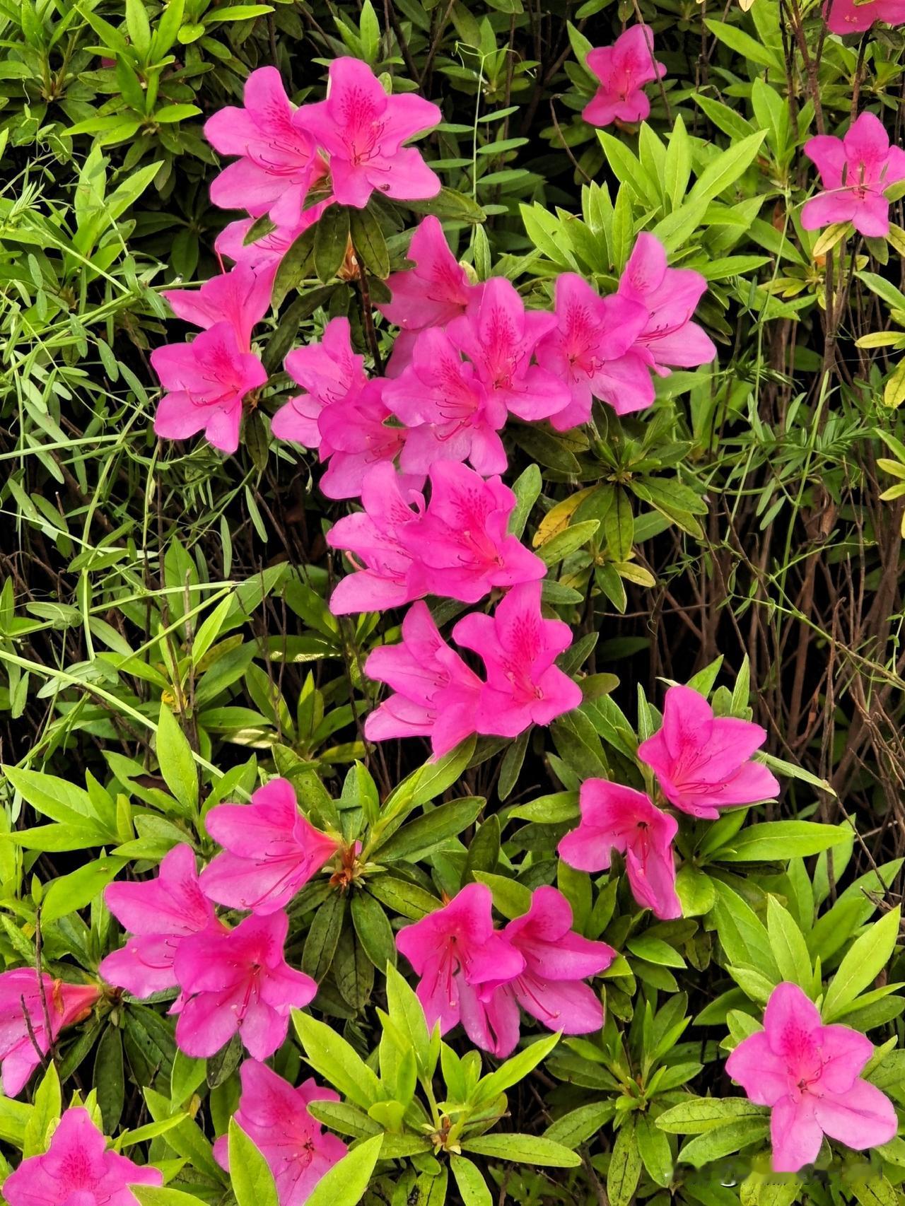 上联：浊酒待新朋下联：清茶敬故交终生坚持作品原创的人图片来源于作者拍摄