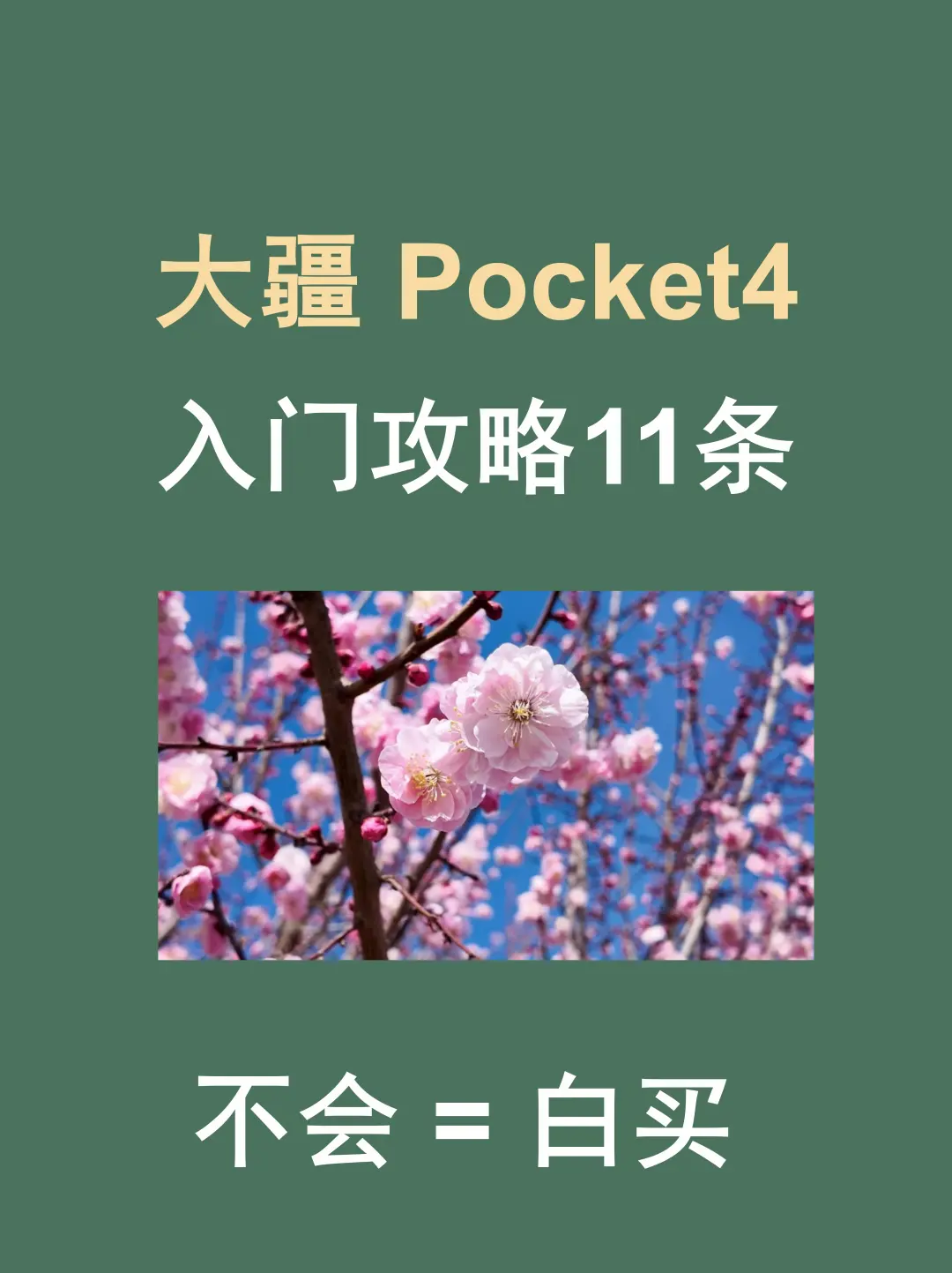 大疆 Pocket4 封神参数🔥小白调出电影感