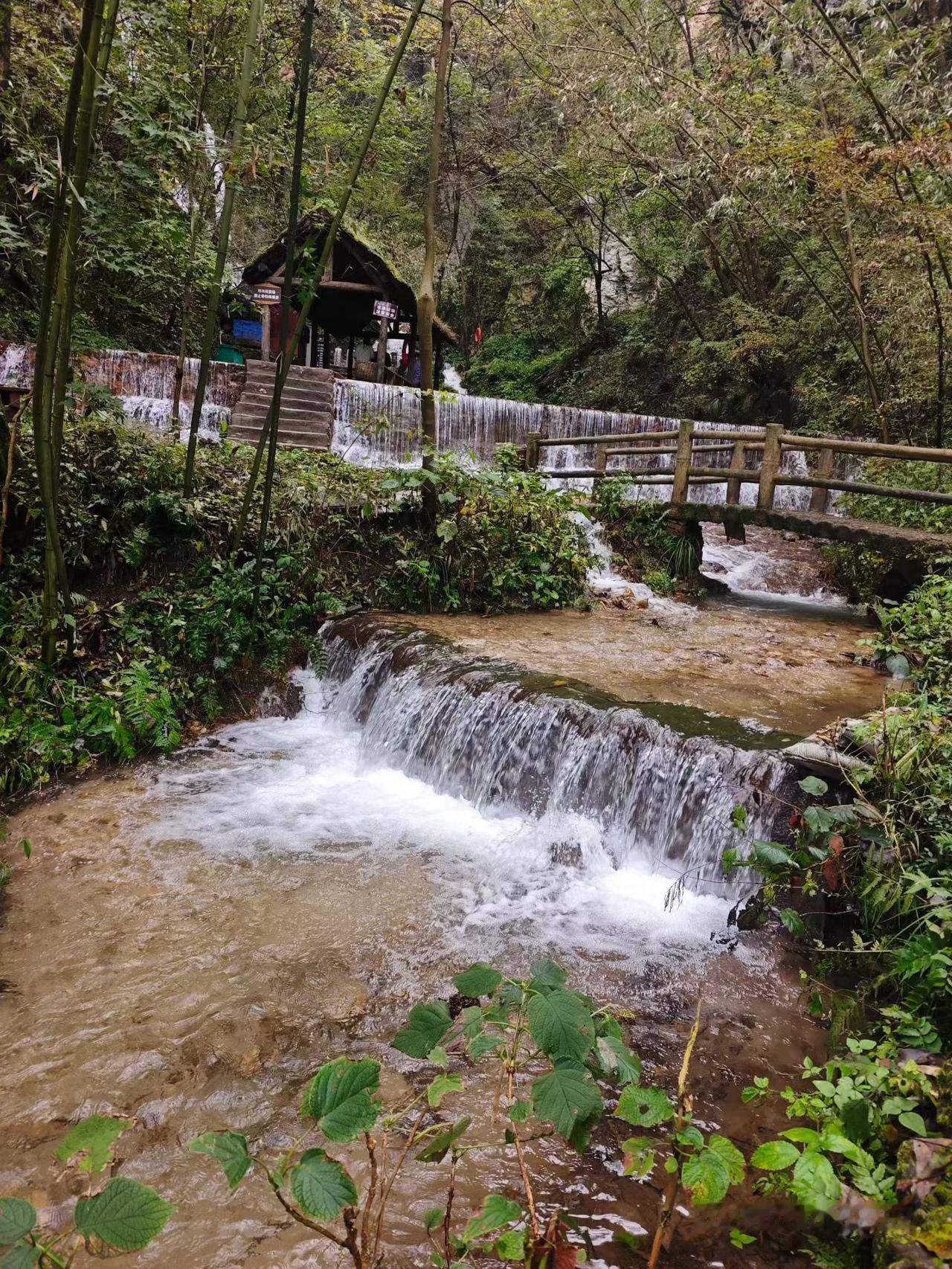 我在山间的治愈时光周末我跑到山里，一进这片林子就被治愈到了！你看这小溪，哗啦