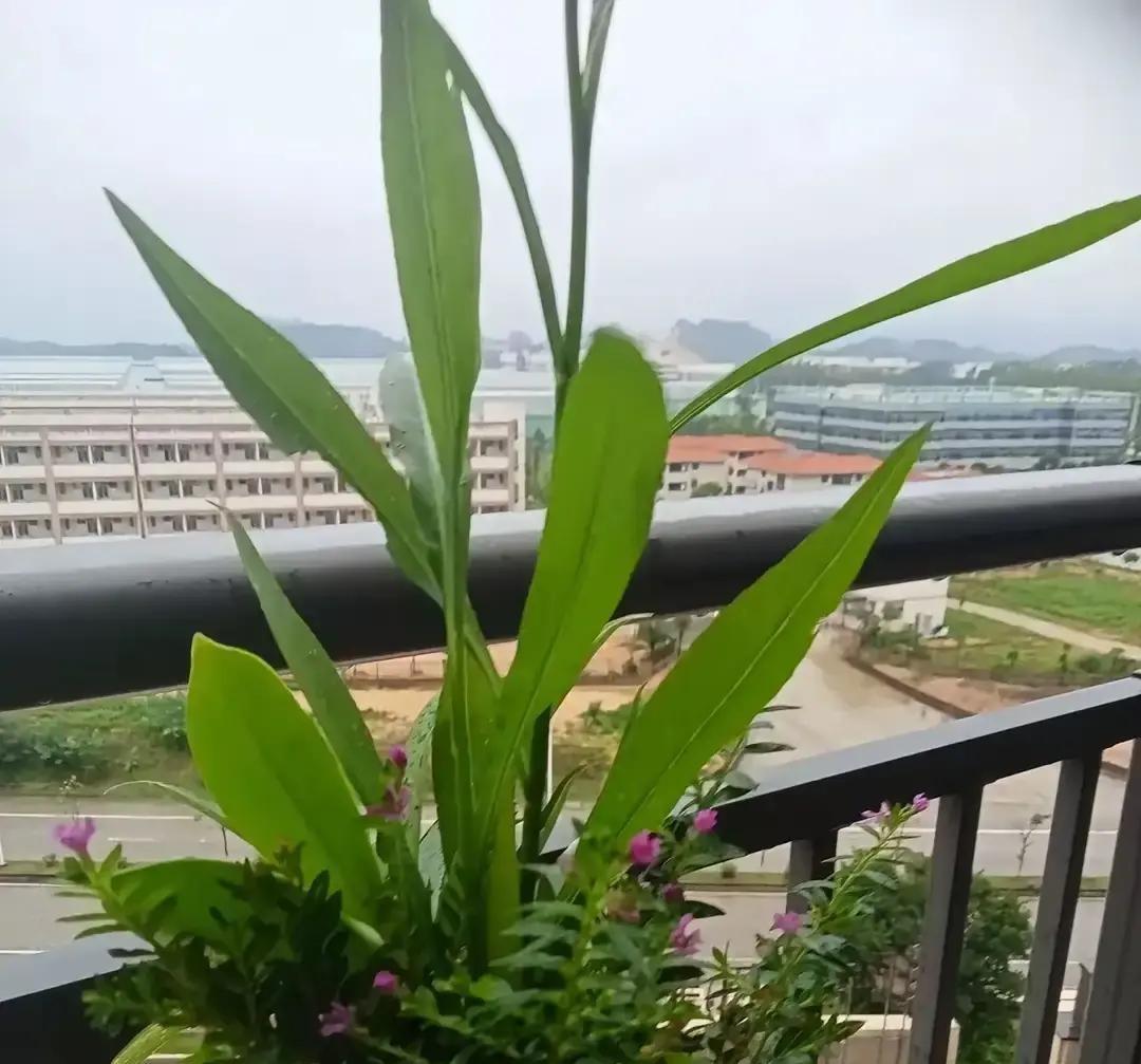 有一个在夜场摸爬滚打了十来年的大姐，跟我透了个底，听得我后背直冒冷汗她直言不