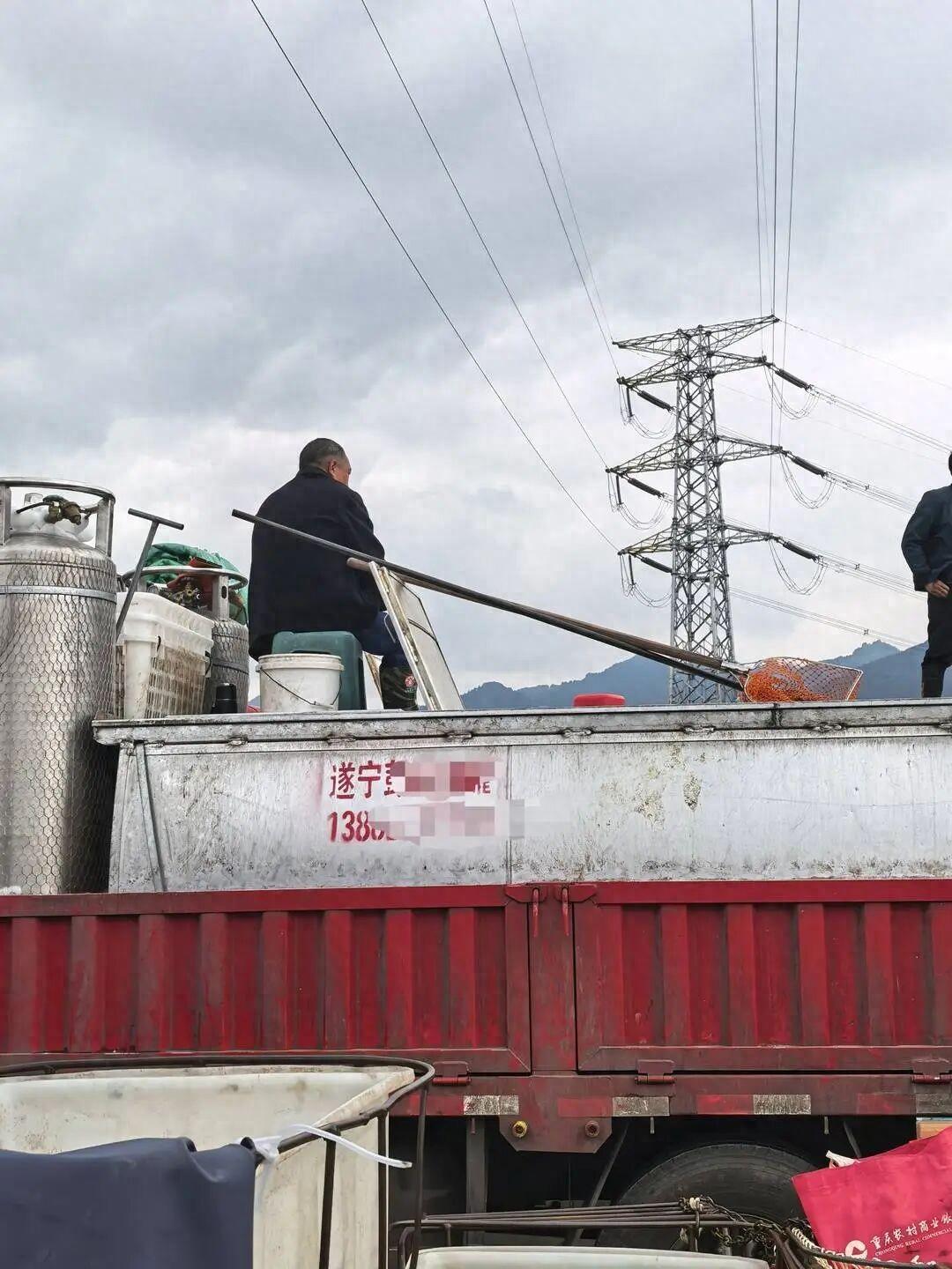 重庆水产市场被曝活鱼用麻醉剂，我以后还敢买鱼吗？重庆乐邦水产市场摊上事了。央